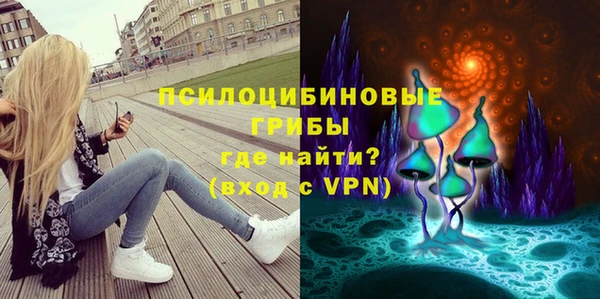 ГАЛЛЮЦИНОГЕННЫЕ ГРИБЫ Дмитров