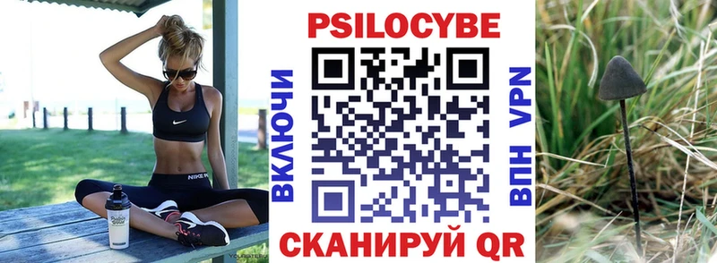хочу   Стерлитамак  Галлюциногенные грибы мицелий 