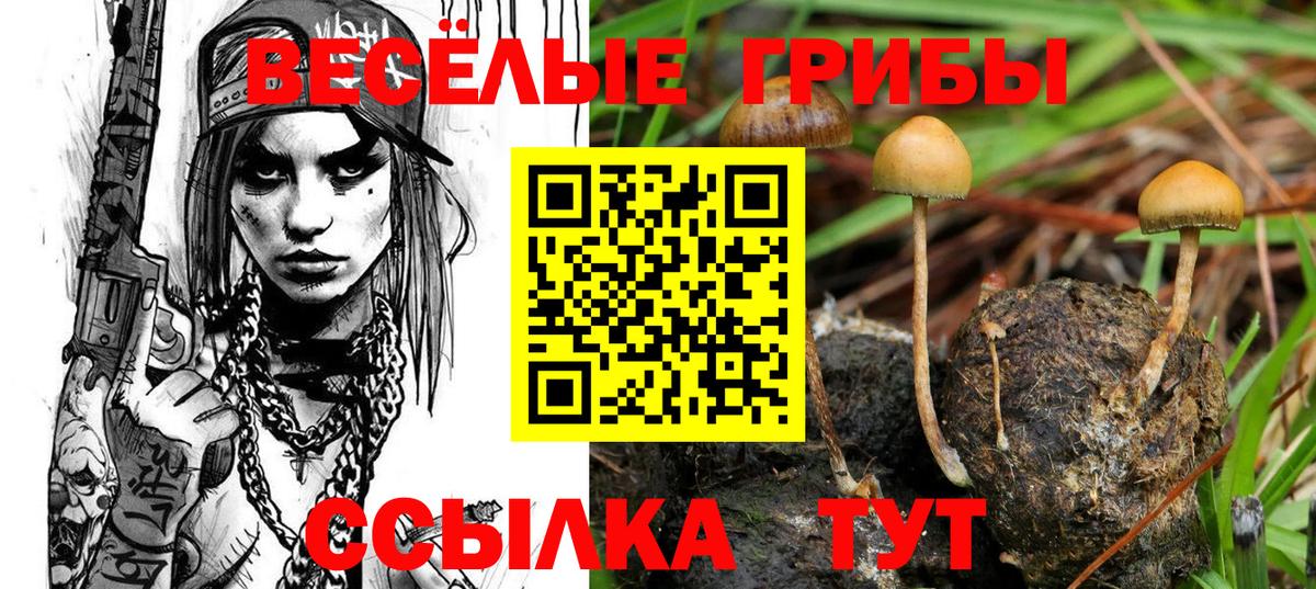 Стерлитамак  Псилоцибиновые грибы MAGIC MUSHROOMS  купить  цена  Вход с VPN 